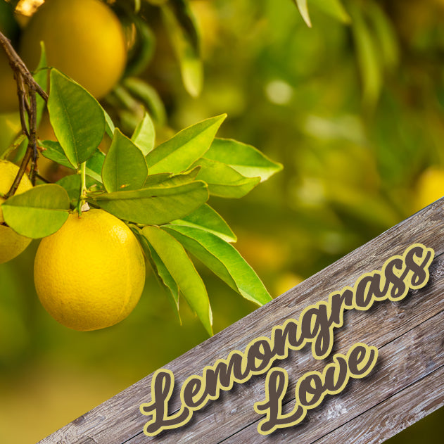 Body Cream - 4 oz - Lemongrass Love