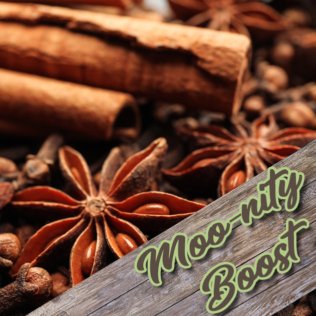 Moo-nity Boost Whipped Tallow