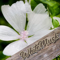Body Cream - 4 oz - White Musk